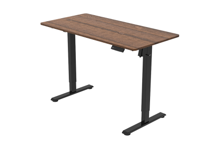 Ergonomic standard Standing Desk 2025